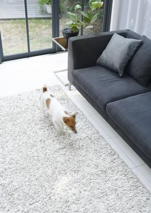 様々な災害に対応する補償を持つ火災保険